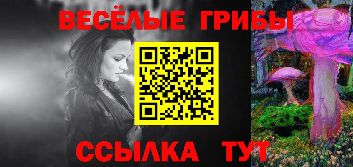 Галлюциногенные грибы мицелий  Сатка  Галлюциногенные грибы Psilocybe 