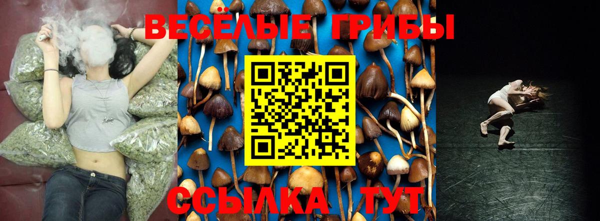 Галлюциногенные грибы Psilocybine cubensis  Вход с VPN  Сатка  закладки  Псилоцибиновые грибы Cubensis 