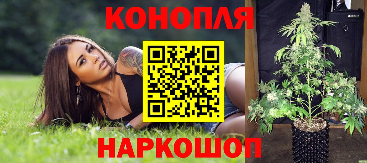 Бошки Шишки марихуана  Каннабис индика  Конопля Bruce Banner  Сатка  Вход с VPN 